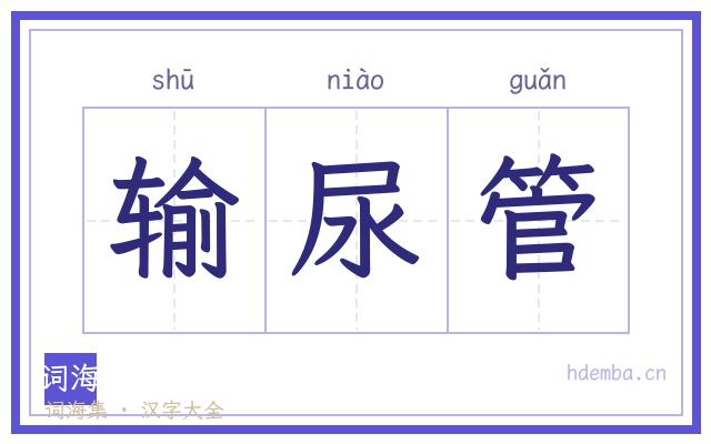 输尿管的书法字
