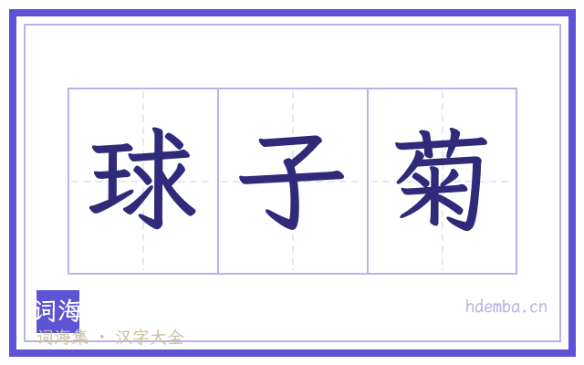 球子菊的书法字