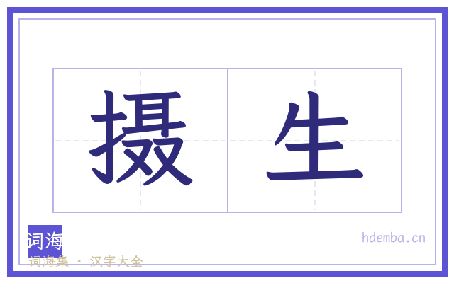 摄生的书法字