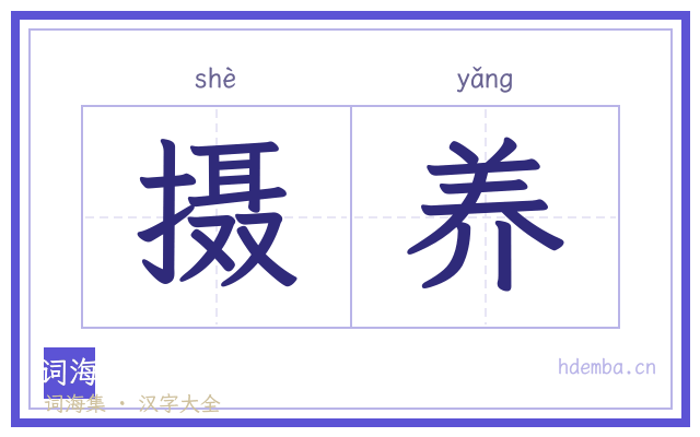 摄养的书法字