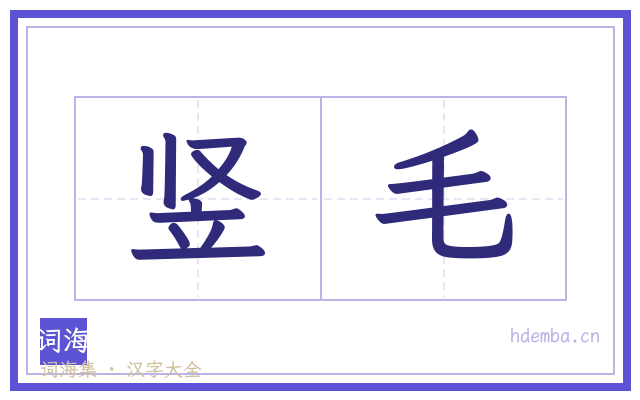 竖毛的书法字