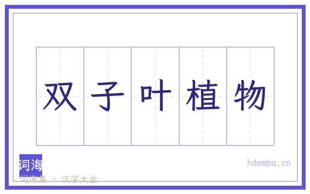 双子叶植物的书法字