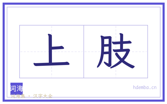 上肢的书法字