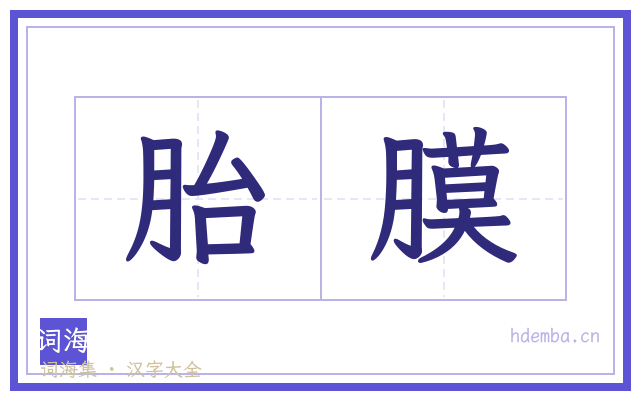胎膜的书法字