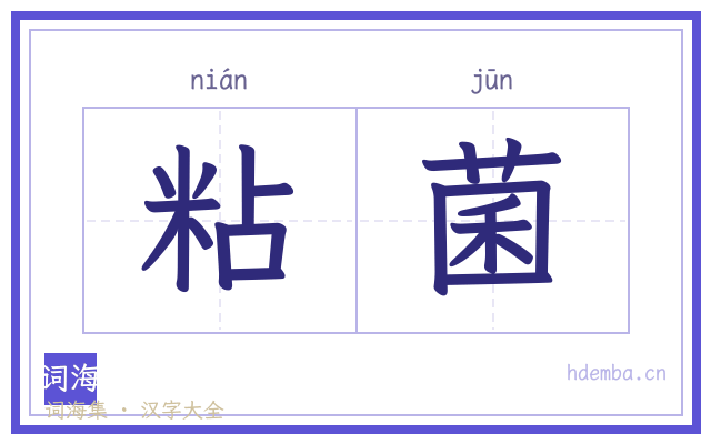 粘菌的书法字