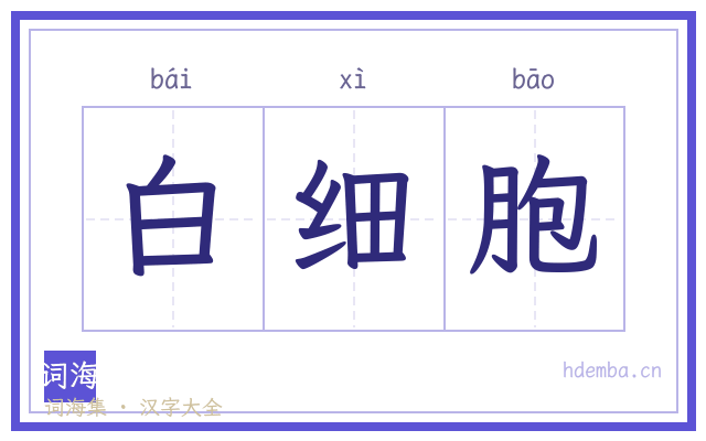 白细胞的书法字