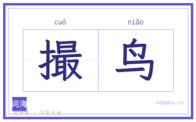 撮鸟的书法字