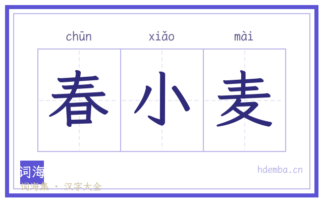 春小麦的书法字