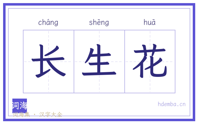 长生花的书法字