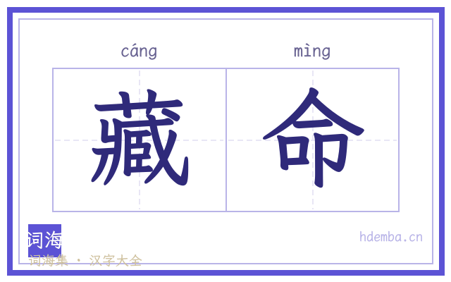 藏命的书法字