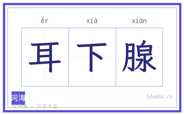 耳下腺的书法字