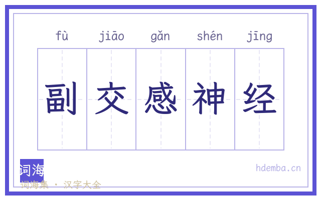 副交感神经的书法字