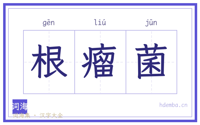 根瘤菌的书法字