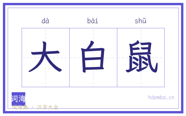 大白鼠的书法字