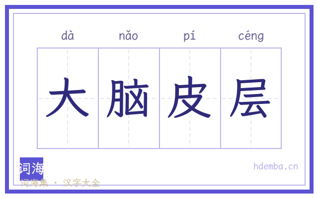 大脑皮层的书法字
