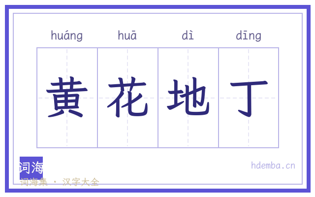 黄花地丁的书法字