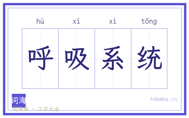 呼吸系统的书法字