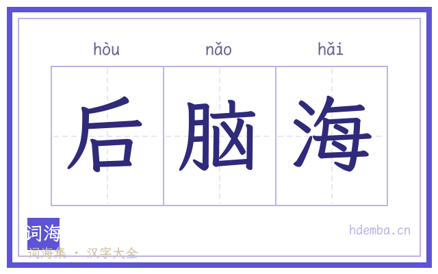后脑海的书法字