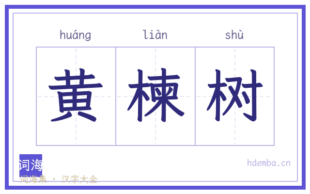 黄楝树的书法字