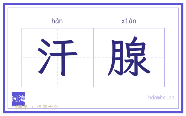 汗腺的书法字