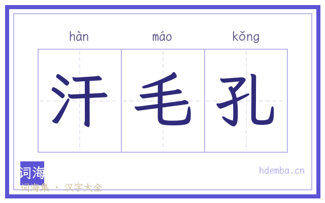 汗毛孔的书法字