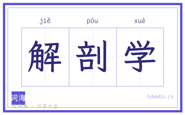 解剖学的书法字