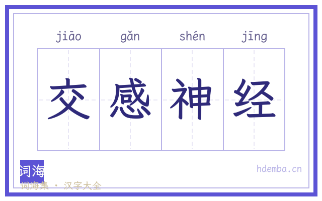交感神经的书法字