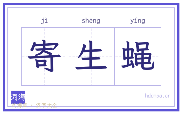 寄生蝇的书法字