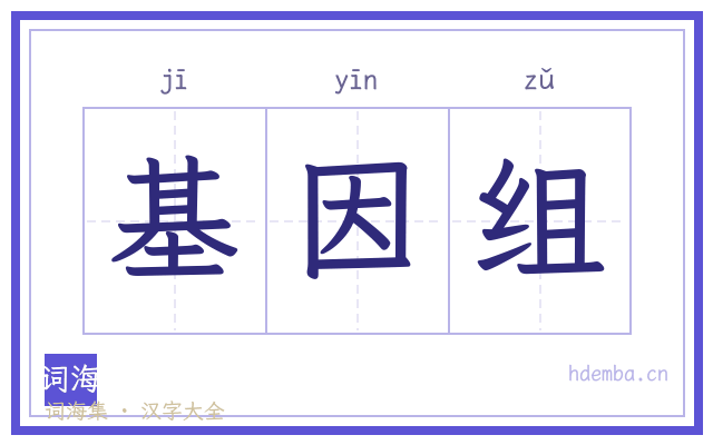 基因组的书法字