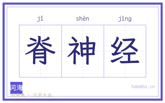脊神经的书法字