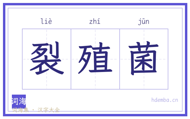 裂殖菌的书法字