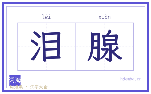 泪腺的书法字