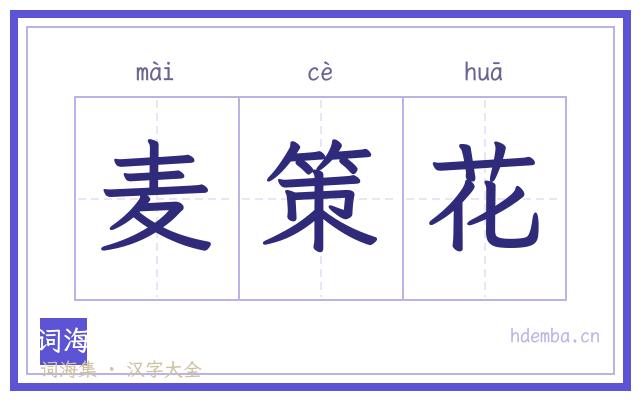 麦策花的书法字