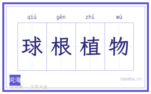 球根植物的书法字
