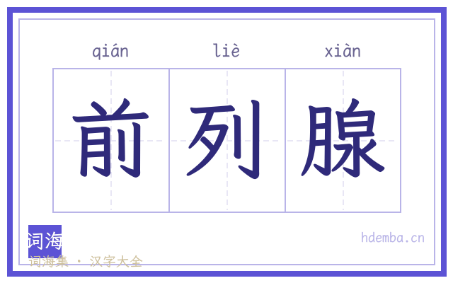 前列腺的书法字