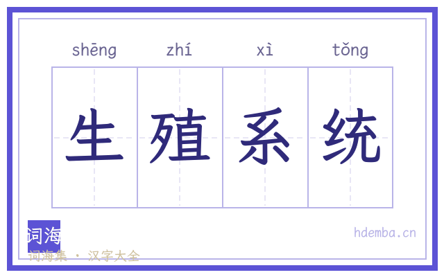生殖系统的书法字