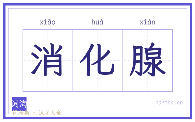 消化腺的书法字