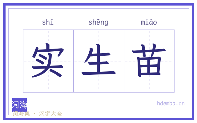实生苗的书法字