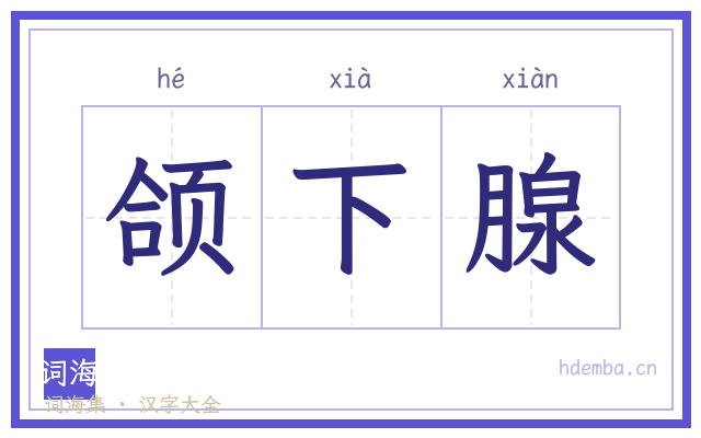 颌下腺的书法字