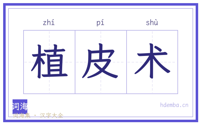 植皮术的书法字