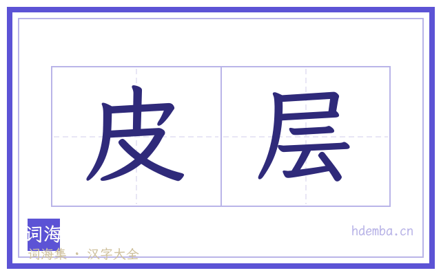 皮层的书法字